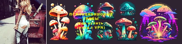 mdpv Белокуриха