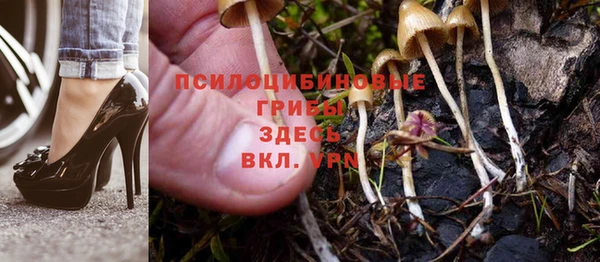 герыч Беломорск
