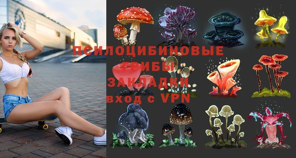 mdpv Белокуриха