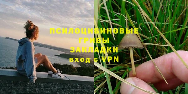 mdpv Белокуриха