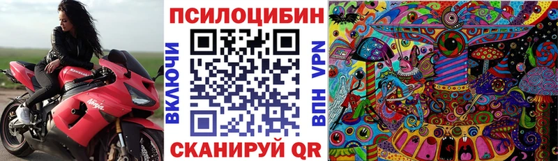 где купить наркотик Валуйки Псилоцибиновые грибы GOLDEN TEACHER